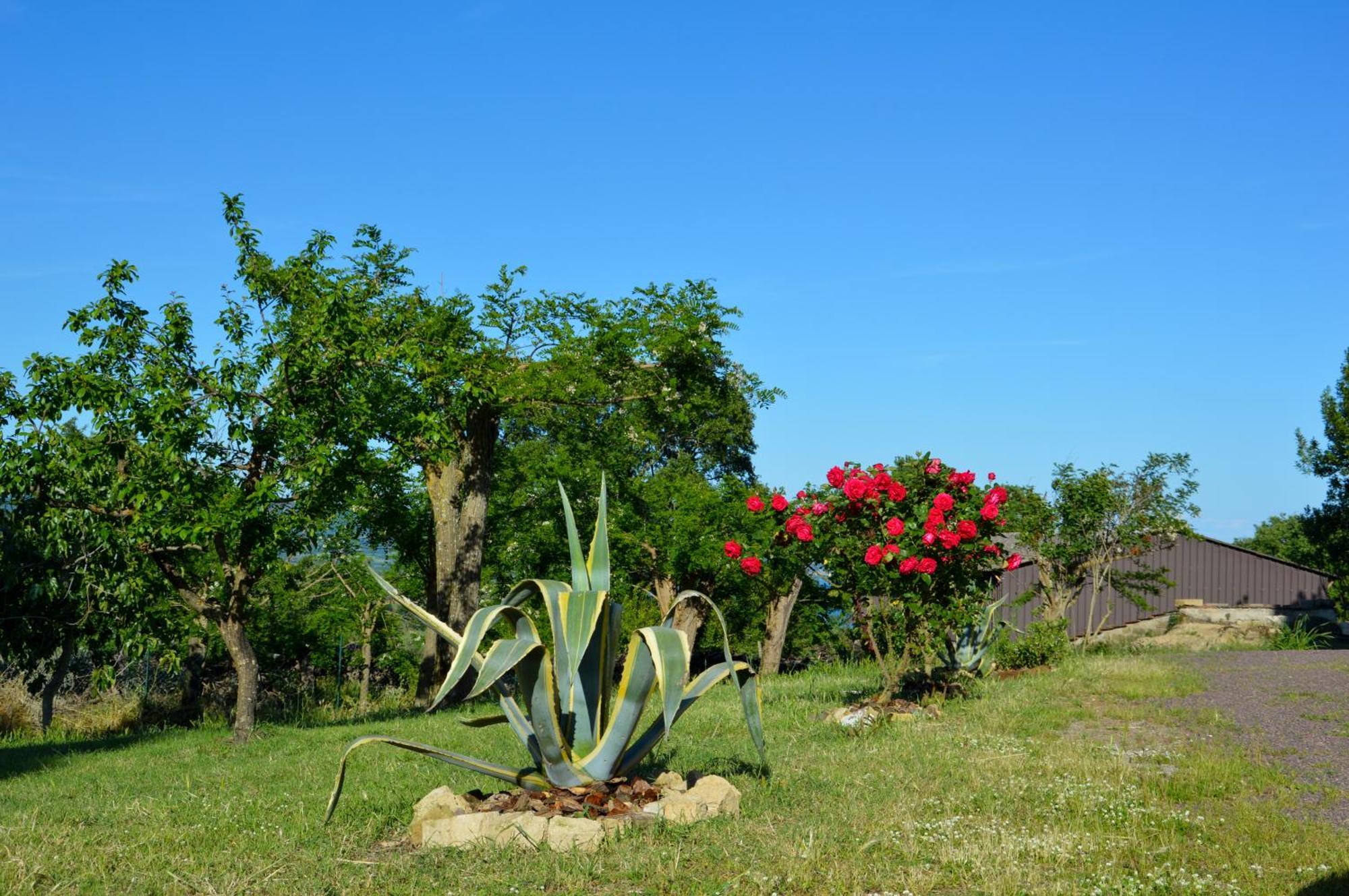 Agriturismo "La Fraschetta" Bolsena Zewnętrze zdjęcie