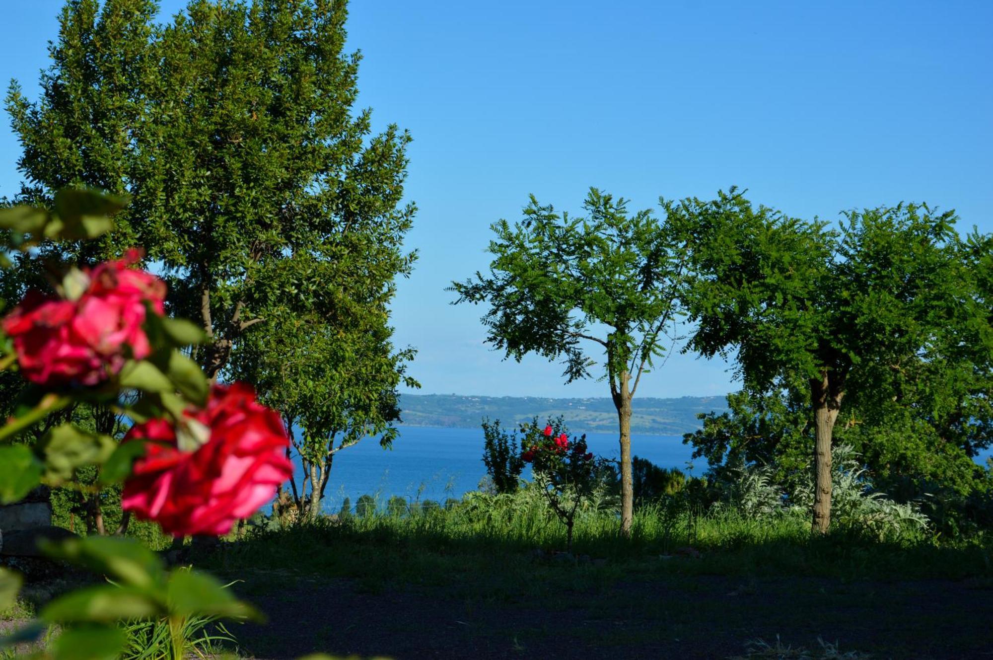 Agriturismo "La Fraschetta" Bolsena Zewnętrze zdjęcie