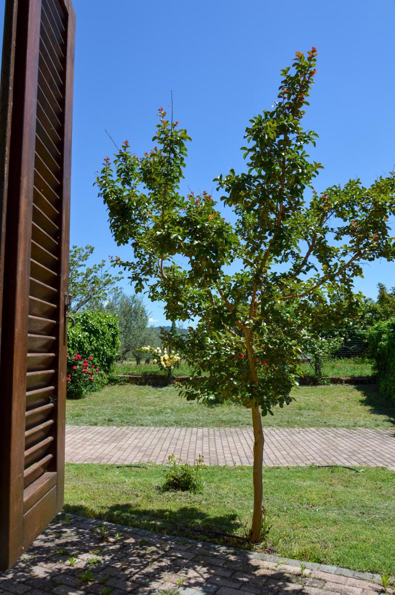 Agriturismo "La Fraschetta" Bolsena Zewnętrze zdjęcie