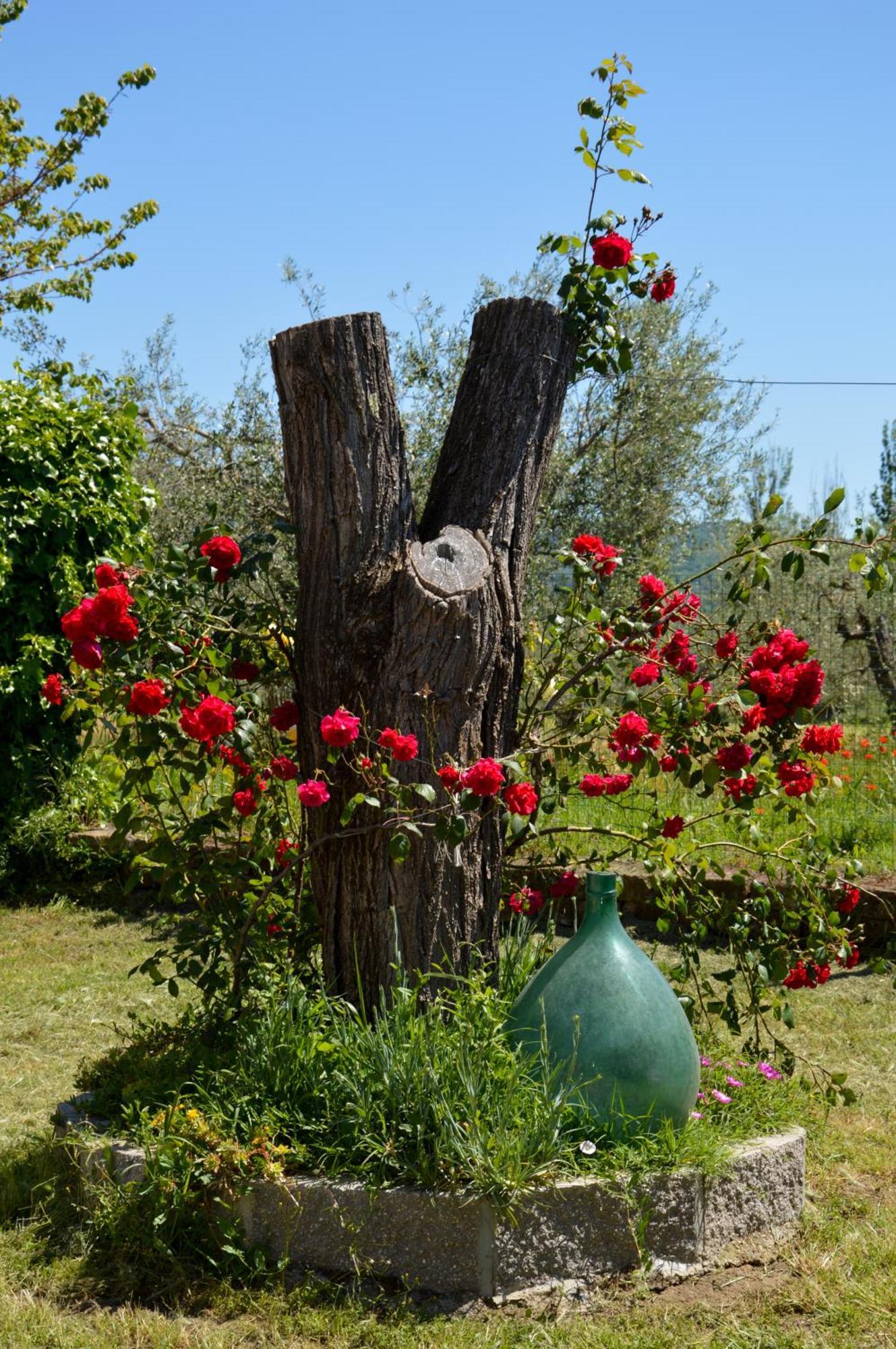 Agriturismo "La Fraschetta" Bolsena Zewnętrze zdjęcie
